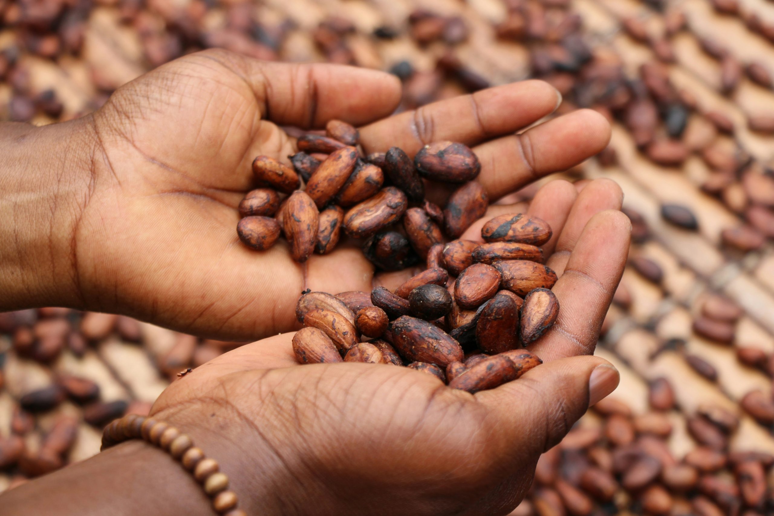 Why Is African Coffee Worth Billions and African Coffee Farmers Still Poor?